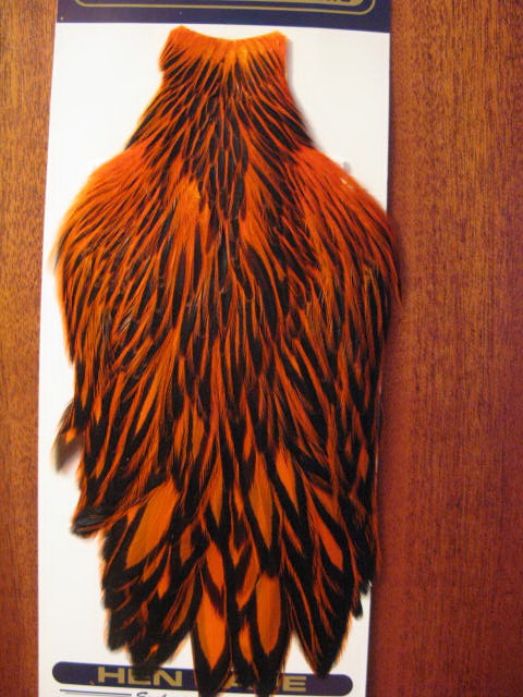 American hen cape blw / orange  Whiting